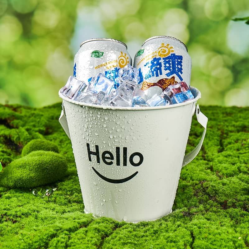 康之味马蹄爽荸荠果汁果肉果粒水果饮料清润解腻310ML*12瓶