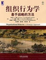 Organizational Behaviour Based on the Strategy-Based Approach Hitt