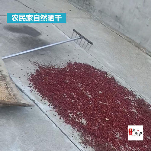 五味子东北特产吉林通化干货250克新货晒干五味子长白山特产包邮 - 图3