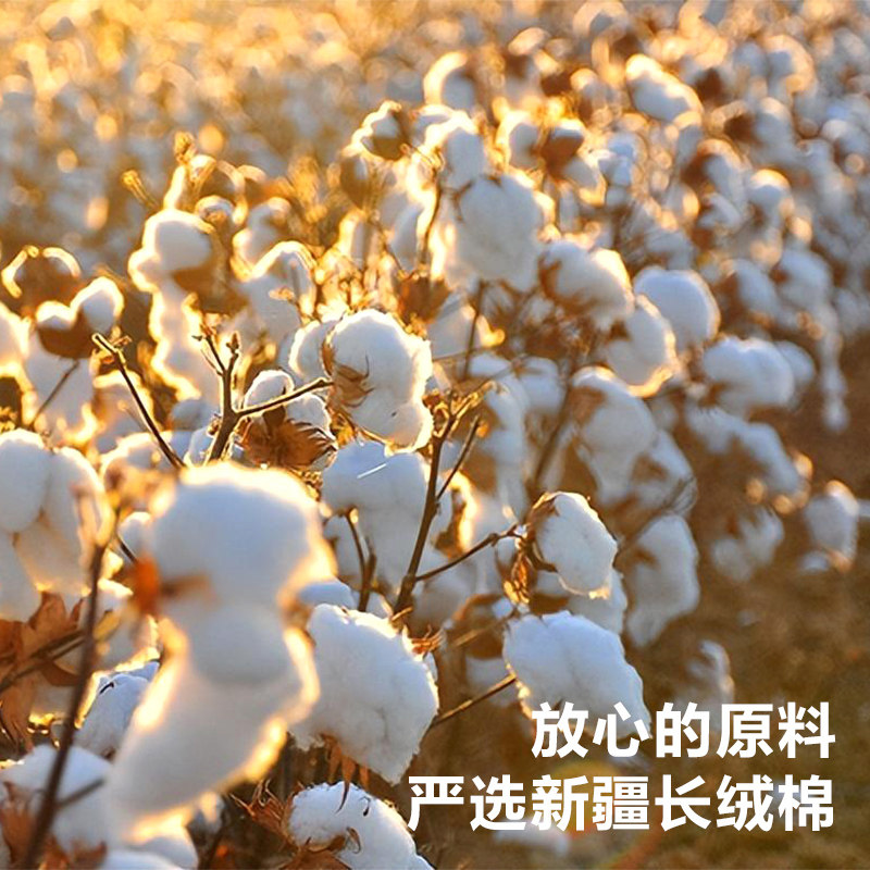 一次性袜子男女士纯棉夏季日抛袜旅行出差便捷短筒棉袜透气不掉跟,淘宝优惠券,粉丝福利购,淘宝优惠卷