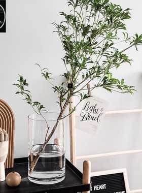Vase furnishing articles flower arranging transparent glass