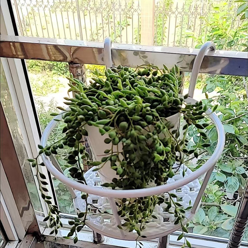 清仓挂壁花盆架防护栏绿植室外庭院花卉挂钩花架子阳台悬挂式花架,淘宝优惠券,粉丝福利购,淘宝优惠卷