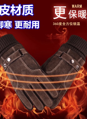 真皮手套男士冬季防风加厚触屏