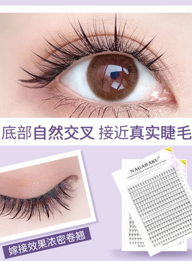 NAGARAKU朵毛0.07CD开花浓密灵动