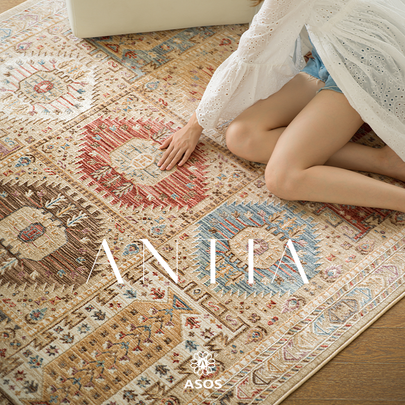 【新品发售】ASOS土耳其原装进口美式复古欧式轻奢高级波斯地毯 - 图3