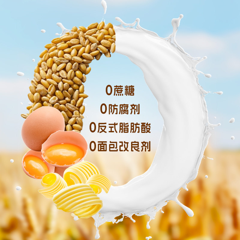 丹香厚切黄油巧克力吐司面包整箱早餐休闲健康代餐零食小吃食品,淘宝优惠券,粉丝福利购,淘宝优惠卷