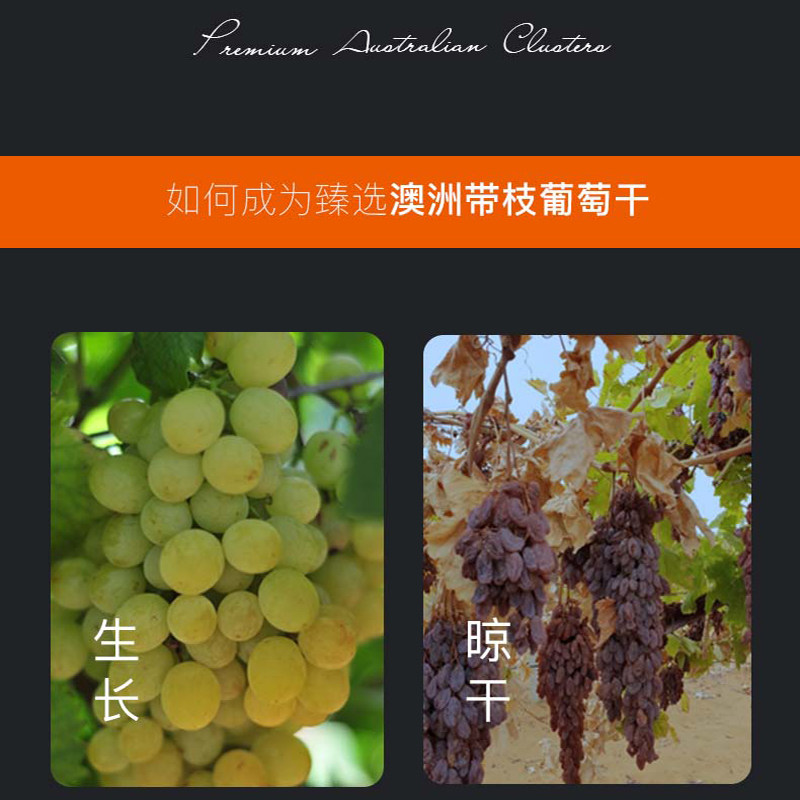 clusters免洗即食带枝整串葡萄干 澳脯食品葡萄干