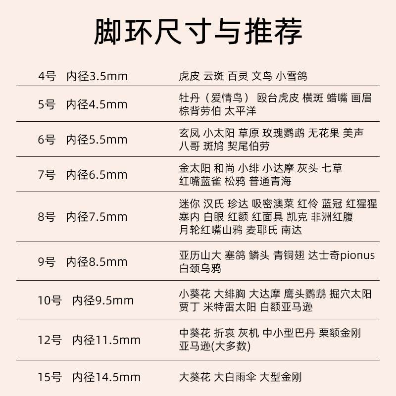 鹦鹉脚环脚链不锈钢鸟链子虎皮八哥牡丹玄凤鸟放飞绳站架鸟链用品-图0