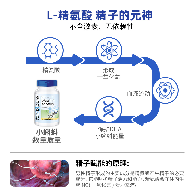 德国原装进口精氨酸胶囊补精子备孕男性提高滋补身体精子质量活力 - 图1