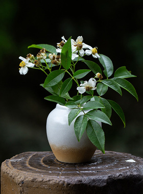 柴棕釉迷你小缸花瓶仿古水培植物花盆铜钱草绿萝容器客厅花插