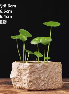 粗陶仿古无孔水培花盆