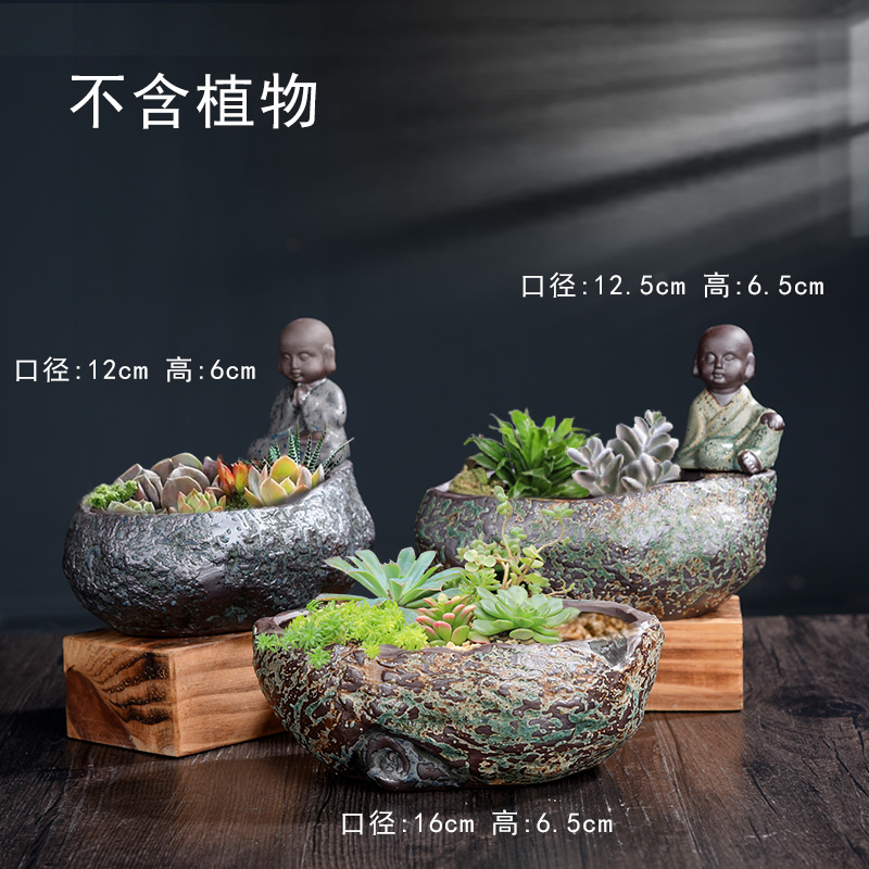 多肉植物陶瓷花盆微景观创意组合文竹盆栽禅意小和尚榕树陶瓷盆景-图0