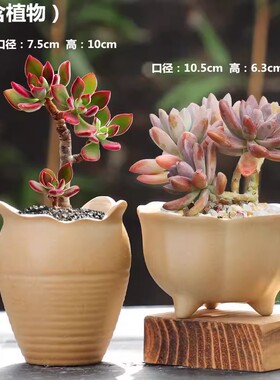 粗陶原土烧制多肉植物陶瓷花盆复古简约新款特价套装组合盆栽有孔