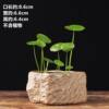 Stone pot antique stone flower pot non-porous hydroponic special pot