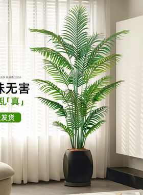 假绿植散尾葵室内客厅大型摆件装饰高品质仿生绿色植物落地盆栽树