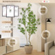 Simulated green plant Mazuimu indoor fake potted plant