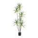 Love pomelo simulated dragon blood tree plant floor ornaments