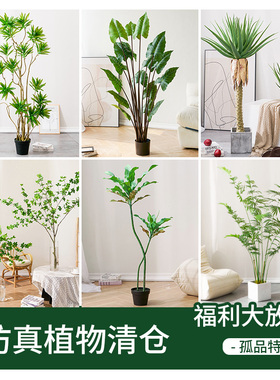 恋柚仿真绿植清仓绿植
