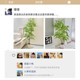 Fake flowers, artificial flower decorations, light luxury, high-end nandina bamboo living room floral decorations, advanced bionic green plants, plastic flower trees