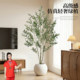 High-end light luxury simulated olive tree floor-standing potted plant