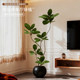 Fake tree bionic black diamond decoration next to the TV cabinet in the living room