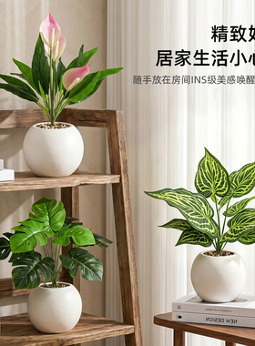 高级感仿真绿植盆景室内摆件