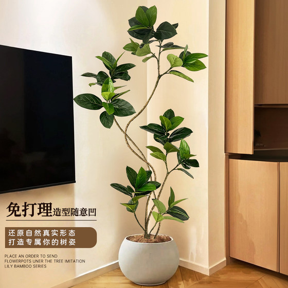 Simulated Green Plant Bengal Banyan Indoor Living Room TV Cabinet