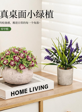 ins风桌面仿真小绿植高级感