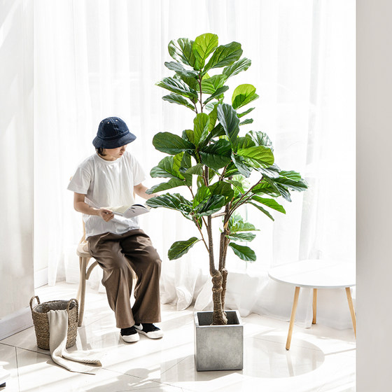 Simulated fiddleleaf banyan large potted plant interior decoration furnishings