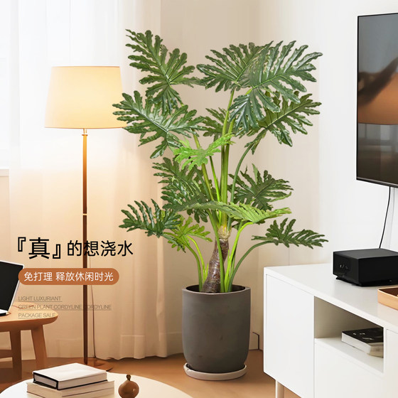 Simulated green plants, spring taro leaves, indoor living room, floor-standing potted plant ornaments beside the sofa, decorative advanced bionic plant fake trees