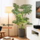 Simulated green plants, spring taro leaves, indoor living room, floor-standing potted plant ornaments beside the sofa, decorative advanced bionic plant fake trees