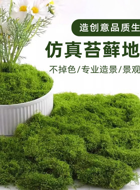 仿真苔藓草皮仿生假苔藓仿真草坪永生假青苔微景观绿植造景假草丝
