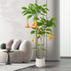 Love pomelo simulation mandala large green plant potted plant