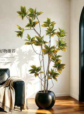 客厅高级感洒金榕仿真盆栽