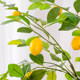 Love pomelo simulation lemon tree ins internet celebrity style