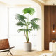 Selection of high-quality light luxury simulated green plants Pu Kui tree