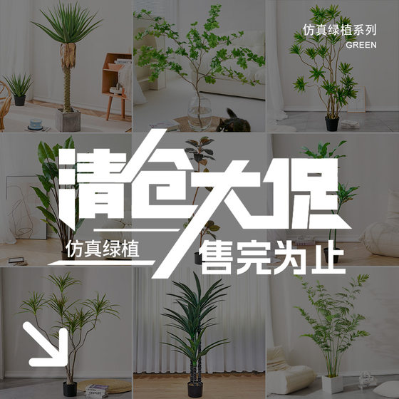 Love Pomelo Simulated Green Plants Clearance Green Plants