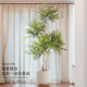 Simulated green plant nandina bamboo decorative ornaments next to TV cabinet