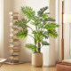 Simulated green plants, spring taro leaves, indoor living room, floor-standing potted plant ornaments beside the sofa, decorative advanced bionic plant fake trees