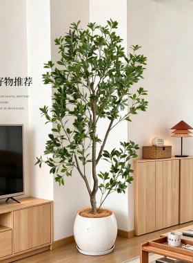 轻奢仿真马醉木落地盆栽客厅