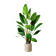 Bird of Paradise Traveler Banana Love Pomelo Simulated Plant Decoration