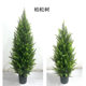 Simulated green plants, pine and cypress trees, interior decoration ornaments, potted plants, large bionic green plants, floor-to-ceiling high-end fake trees