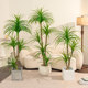 Fake green plant Dracaena simulated plant high-end light luxury indoor living room decoration floor-standing ornaments large bionic flower tree