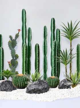 假绿植仙人掌室内高端轻奢造景景观高级感仿生绿色植物热带仿真树