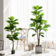 Simulated fiddleleaf banyan large potted plant interior decoration furnishings