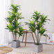 Nordic simulated green plants Brazilian wood potted plants floor-standing indoor