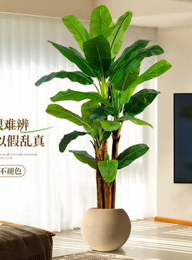 仿真芭蕉室内大型高端轻奢装饰摆件盆栽高品质仿生绿色植物落地树