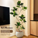 Fake green plant Bengal banyan indoor living room TV cabinet
