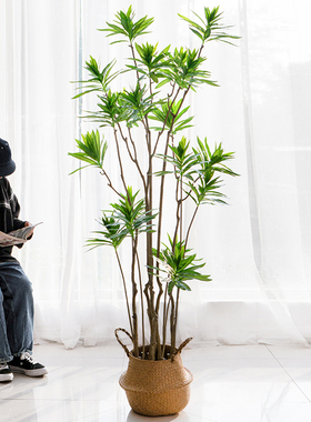 北欧ins风网仿真百合竹落地植物