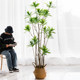 Nordic ins wind net simulated lily bamboo floor plant